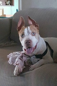 Can you help Frankie Blue Eyes? item-thumbnail