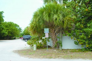 Meter maids? Parking permits? Don’t worry, it’s just an advisory group for parking item-thumbnail