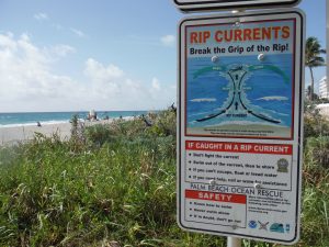 Do we need more signage at our southern beach access points? item-thumbnail