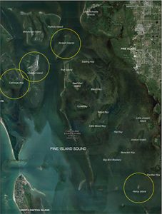 FWC using public input to improve ‘critical wildlife area’ proposals item-thumbnail