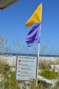 Park rangers warn swimmers, promote beach safety with new colored flag system item-thumbnail