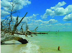 Celebrate Cayo Costa Heritage Day November 5 item-thumbnail