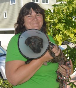 Animal rescue owner seeks help with van repairs item-thumbnail