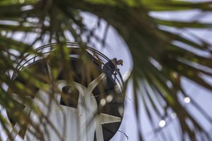 Lighthouse Day to be celebrated at both lights this weekend item-thumbnail