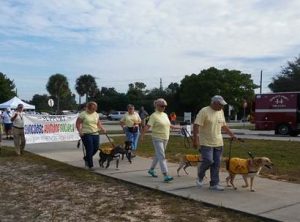 LETTER TO THE EDITOR: Suncoast Humane to hold Pet Walk for homeless animals item-thumbnail