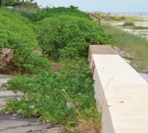 Historic Preservation Board reveals convoluted information after potential violation brought to light item-thumbnail