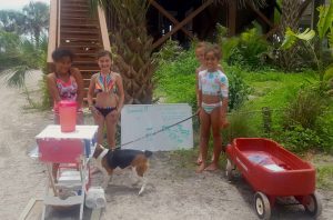 Little wildlife rescuers raise money for local animals item-thumbnail