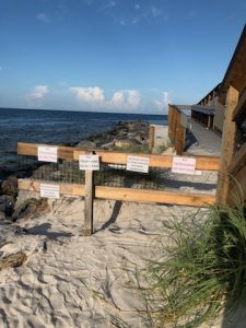 A path to nowhere: Gulf side of state park beach walkway still open; just avoid the ramp item-thumbnail
