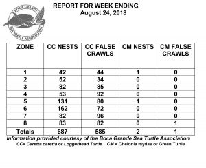 Turtle nest numbers up compared to this time last year Turtle nest numbers up compared to this time last year