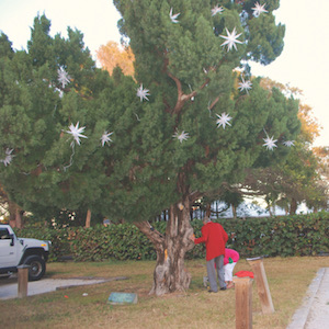 It’s an island tradition! Join everyone for the community tree lighting ceremony on December 2 item-thumbnail