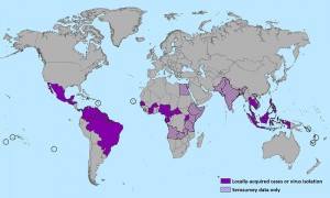 Zika virus found on Gasparilla Island item-thumbnail