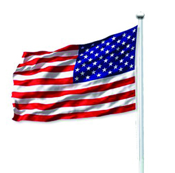 In for a 4th of July cart parade? Let’s do this! In for a 4th of July cart parade? Let’s do this!