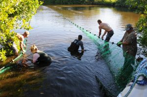 Letter to the Editor: Recent net pull at preserve a great success item-thumbnail
