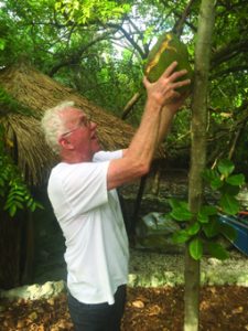 Edd and the amazing giant jackfruit item-thumbnail