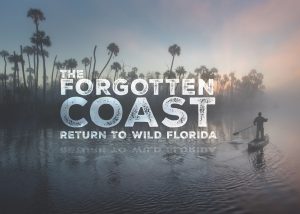 Florida Wildlife Corridor team to speak about ‘The Forgotten Coast’ item-thumbnail
