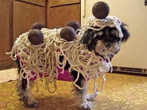 Spaghetti is this Sunday! item-thumbnail