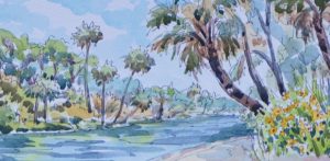 Smart Studio hosting new ‘Wild Florida’ exhibit Smart Studio hosting new ‘Wild Florida’ exhibit