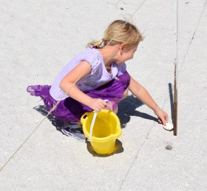 Recollecting the Great Seashell Hunt of 2018 with BIPS item-thumbnail