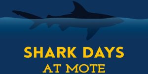 Do you love sharks? Do your kids love sharks? Check this out item-thumbnail