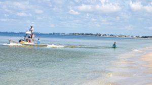 Mote scientists in Boca Grande to determine snook health Mote scientists in Boca Grande to determine snook health