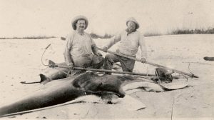 BGHS online archive system now available; new exhibit planned item-thumbnail