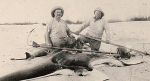 Teddy Roosevelt visits Charlotte Harbor, finds some excitement item-thumbnail