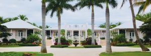 The Stevenson home: A house full of whimsy and delight item-thumbnail