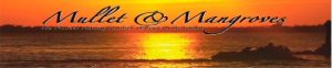 ‘Mullet and Mangroves’ to be presented today at the Community Center item-thumbnail