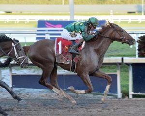 Three thoroughbreds with island ties to run the Derby item-thumbnail