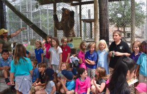 TIS hits the road! Trips to Big Cat Habitat, Ringling Museum TIS hits the road! Trips to Big Cat Habitat, Ringling Museum