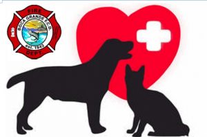 Boca Grande Fire Department to hold pet CPR class item-thumbnail