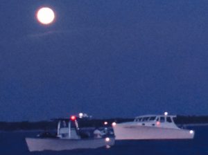 Howling at a blue moon item-thumbnail