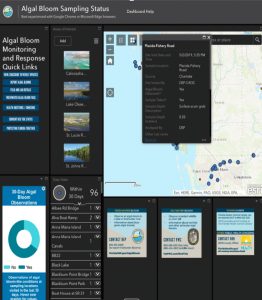 Algal bloom dashboard will give even more info on water quality item-thumbnail