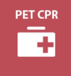 BGFD to hold pet CPR/first aid class this weekend item-thumbnail