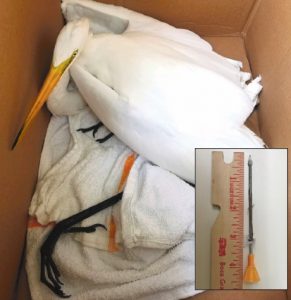 Information sought in case of blow-darted heron Information sought in case of blow-darted heron