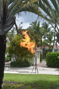 The burning bush of Boca Grande? Nah … item-thumbnail