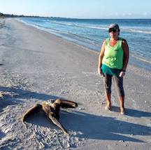 Turtle patrol rescues sick pelican, saves baby turtle stuck in roots item-thumbnail
