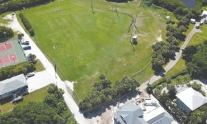 November public hearing set for dog park debate item-thumbnail