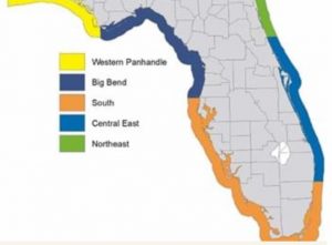 FWC approves draft changes to spotted seatrout rules item-thumbnail