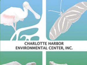 Fishing ABCs, nature walks and kayaking free this month through CHEC item-thumbnail
