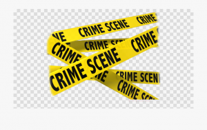 Two deaths investigated on island in past few weeks item-thumbnail