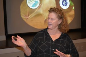 Flying monkeys do exist: an afternoon well spent with bats Flying monkeys do exist: an afternoon well spent with bats