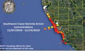 Red tide report item-thumbnail