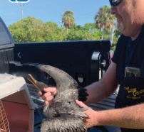 Please watch out for local wildlife while driving item-thumbnail