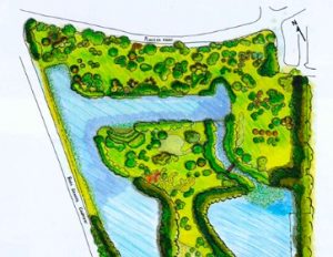 Preconstruction and other activities planned at Mercabo Preserve item-thumbnail