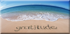 LETTER TO THE EDITOR: Many thanks for keeping us safe item-thumbnail
