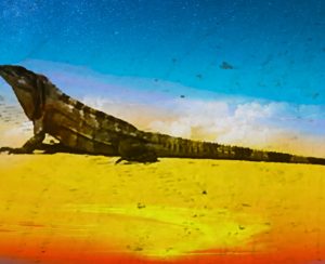 ‘Iguana panel’ has two openings on board … are you interested? item-thumbnail
