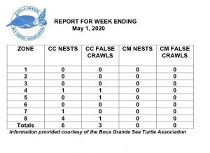 Island sea turtles numbers are growing, and so are concerns about beach hazards item-thumbnail