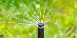 Phase I water shortage order declared Phase I water shortage order declared