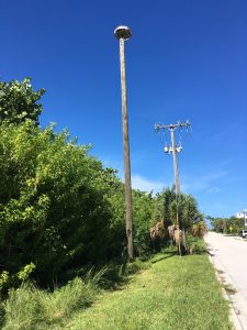 Osprey pole replacement pending for south end Osprey pole replacement pending for south end